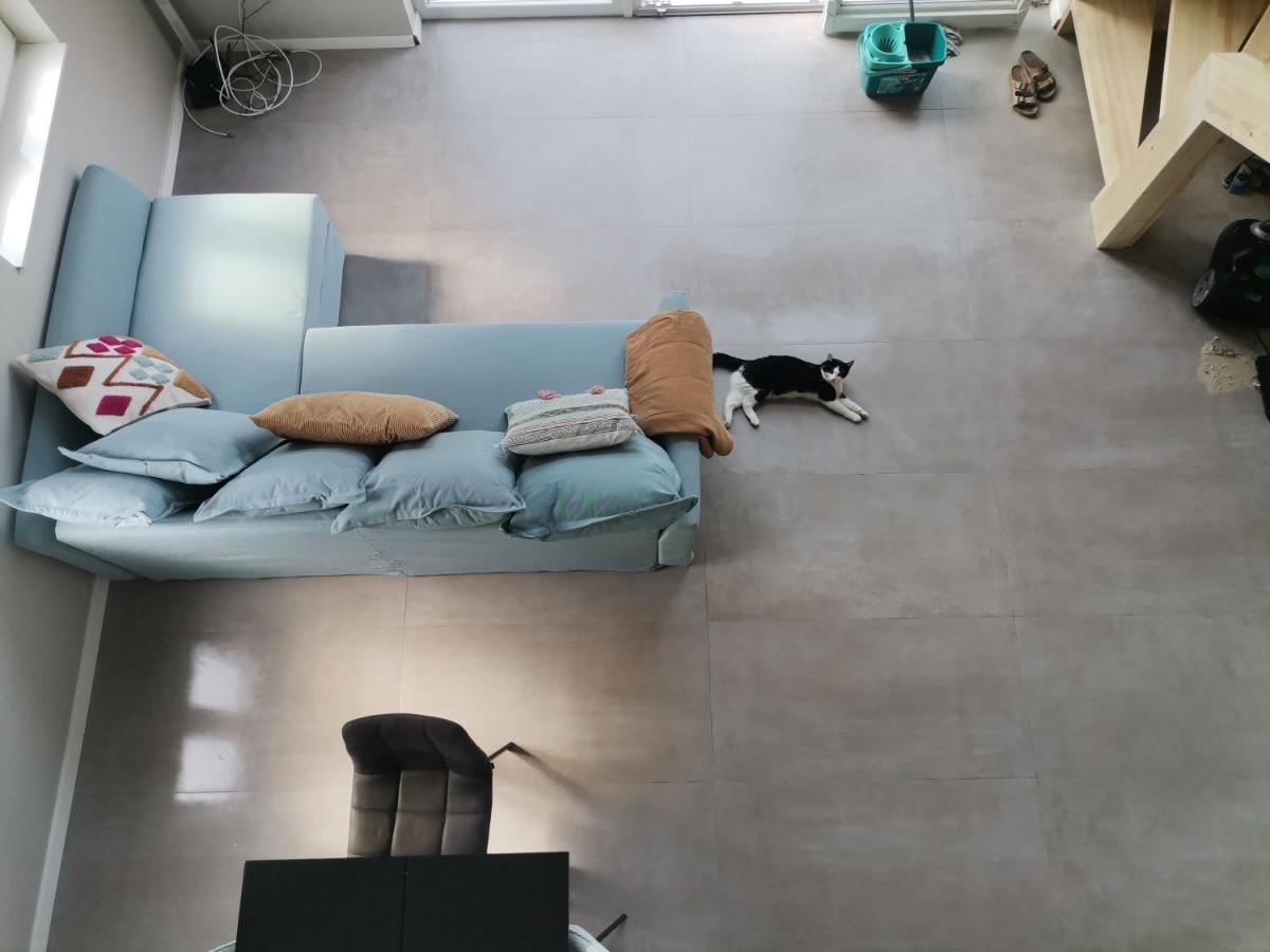 Vadvirag Vendeghaz Villa Zamardi Ngoại thất bức ảnh